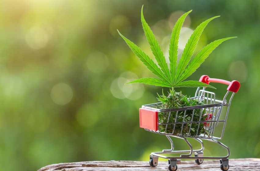  Best Online Dispensaries in Canada for 2024