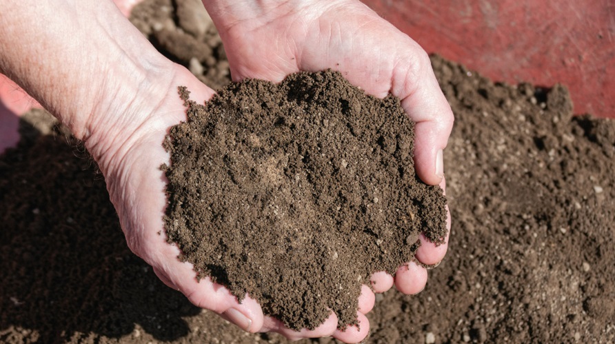 Importance of Topsoil